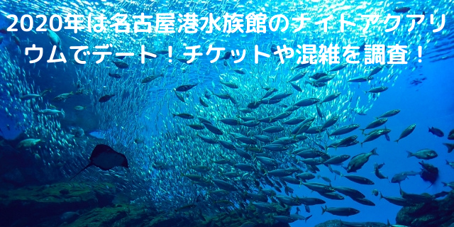 年は名古屋港水族館のナイトアクアリウムでデート チケットや混雑を調査