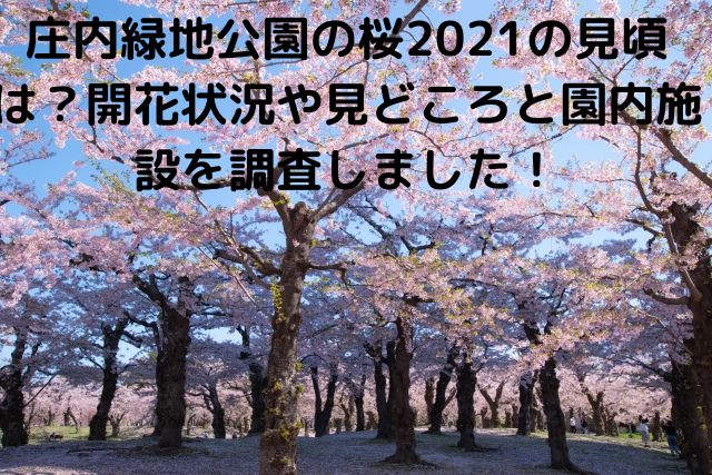 名古屋庄内緑地公園の桜21の見頃は 開花状況や見どころと園内施設を調査